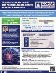 TBIPHRP Program Summary Sheet Cover Image